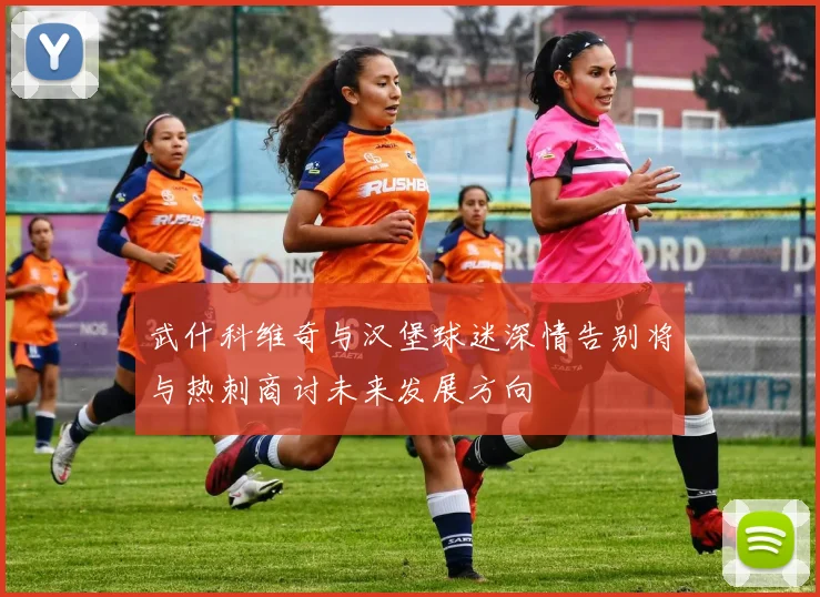 武什科维奇与汉堡球迷深情告别将与热刺商讨未来发展方向