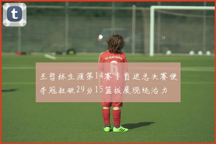 王哲林生涯第14赛季首进总决赛便夺冠狂砍29分15篮板展现统治力