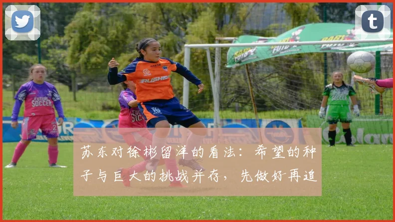 苏东对徐彬留洋的看法：希望的种子与巨大的挑战并存，先做好再追求完美