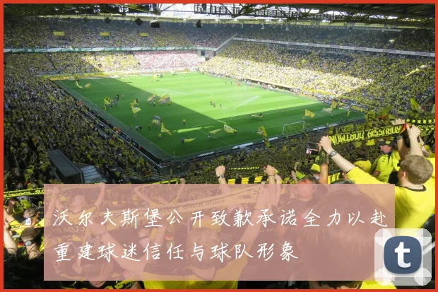 沃尔夫斯堡公开致歉承诺全力以赴重建球迷信任与球队形象
